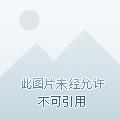 末世3d