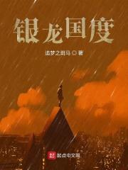 银龙战绩