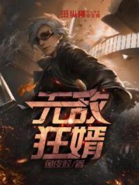 无敌狂婿(又名上门女婿) 风火雷电劈