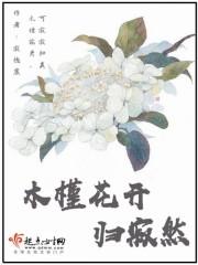 木槿花开下一句
